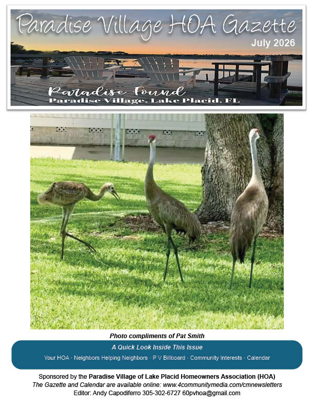 Paradise Village HOA