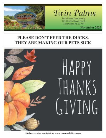 Twin Palms - Clearwater newsletter cover