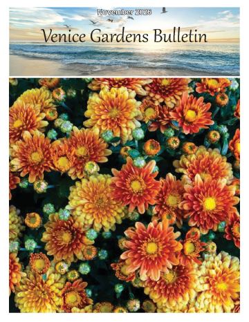 Venice Gardens Civic Association newsletter cover